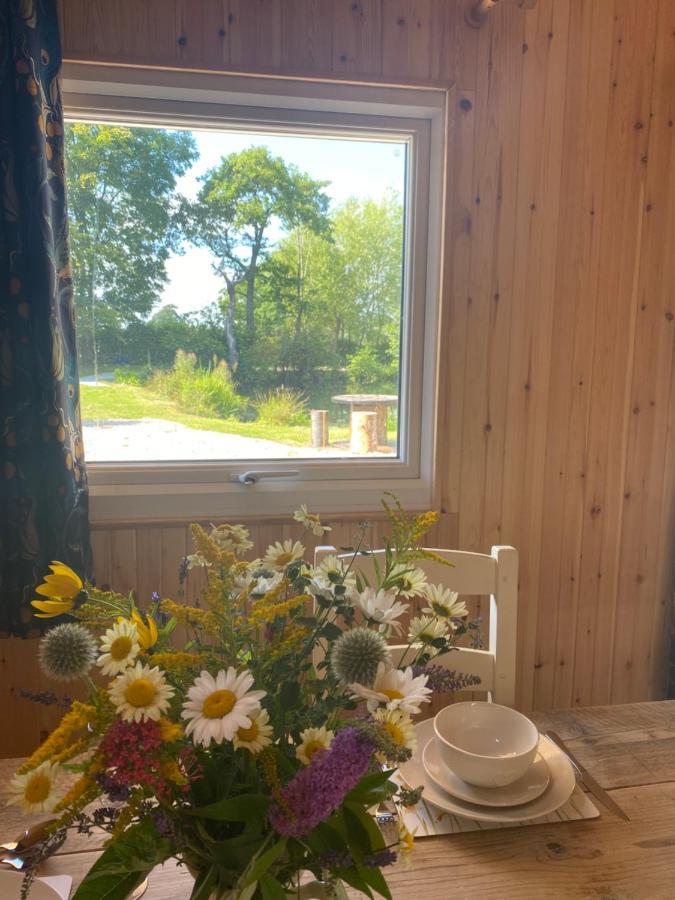 Kingfisher Cabin - Wild Escapes Wrenbury Off Grid Glamping - Ages 12 And Over Baddiley 외부 사진