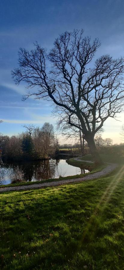Kingfisher Cabin - Wild Escapes Wrenbury Off Grid Glamping - Ages 12 And Over Baddiley 외부 사진